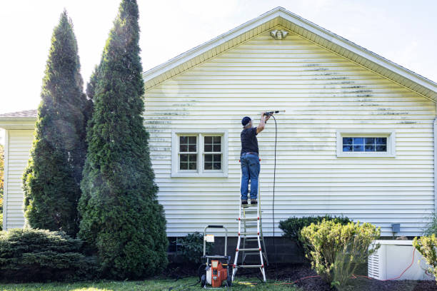 Best Solar Panel Cleaning  in Pine Ridge, FL